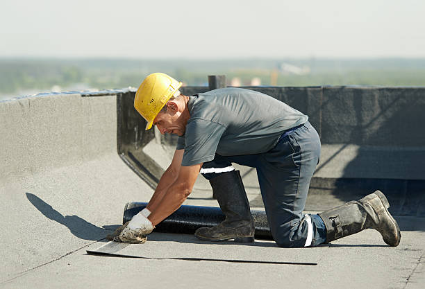 Best Professional Insulation Contractor  in Sawgrass, FL